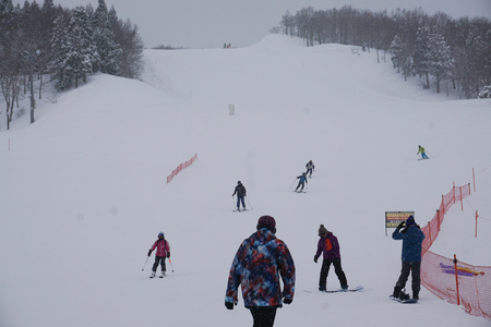 GALA YUZAWA, JAPAN MARCH 16, 2560 : Tourists are skiing at Gala Yuzawa, JAPAN.のeditorial素材