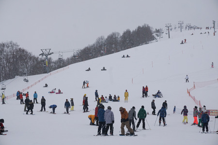 GALA YUZAWA, JAPAN MARCH 16, 2560 : Tourists are skiing at Gala Yuzawa, JAPAN.のeditorial素材
