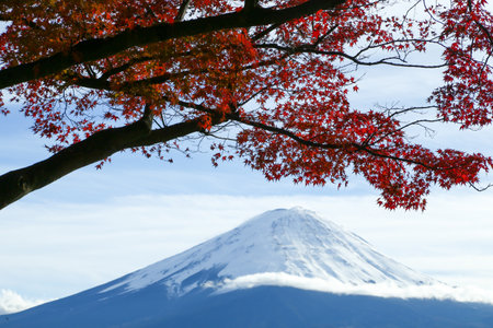 Mt. Fuji and maple leaves at Kawaguchiko lake in Japanの写真素材