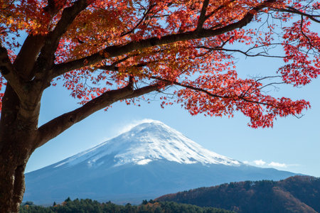 Mt. Fuji with red maple leaf at autumn season in Japanの写真素材