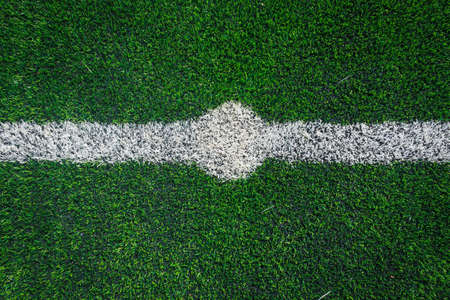 center line of a soccer grass fieldの写真素材
