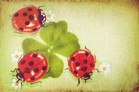 Vintage ladybugs on the clover leaf の写真素材