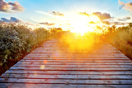 Wooden path over dunes at a beach の写真素材