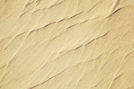 Sand textureの写真素材