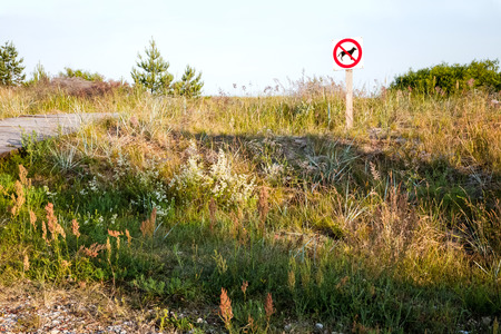No dogs allowed - sign on the beachの写真素材