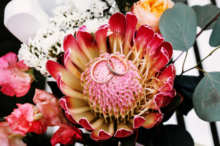 Wedding rings placed in the center of flower. Upper view.の写真素材