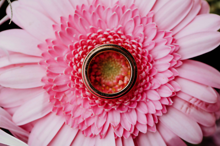 Wedding rings placed in center of pink gerbera flower. Top down view.の写真素材