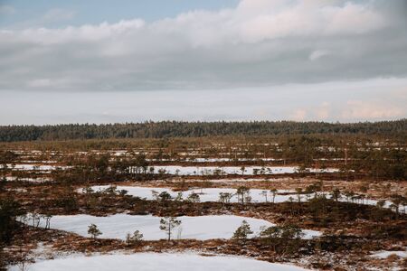 Aerial winter scenery. Early morning at swamp with frozen water and pine tree.の写真素材
