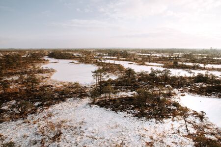 Aerial winter scenery. Early morning at swamp with frozen water and pine tree.の写真素材