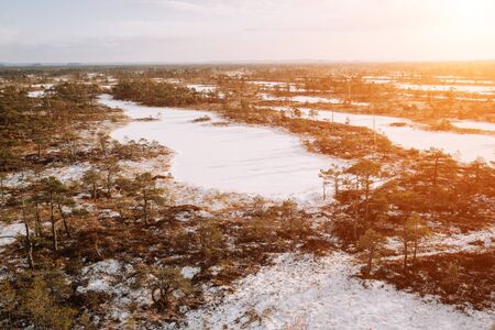 Aerial winter scenery. Early morning at swamp with frozen water and pine tree at sunrise.の写真素材