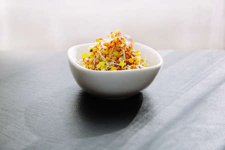 Fresh radish sprouts in a white bowl isolated on black background. Concept for a tasty and healthy...