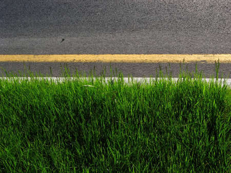 Green grass delimited by a desert asphalt.の写真素材
