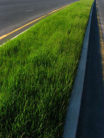 A green road between two asphalt roads.の写真素材