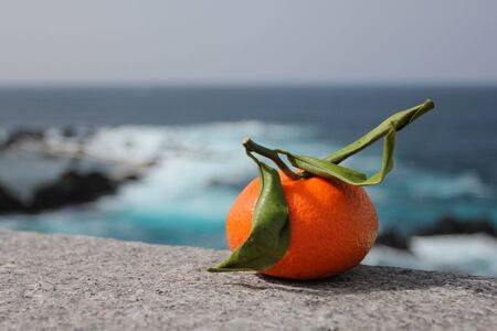 One Mandarin with green leaves and branch on a grey marble on soft blue backgroundの写真素材