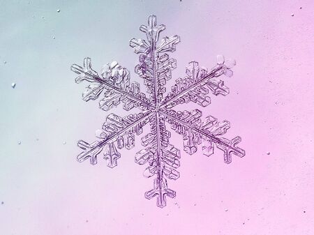 Macro photo of real snowflake on gradient backgroundの写真素材