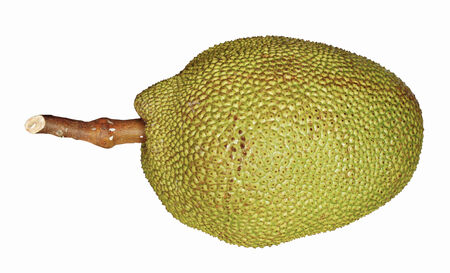 jack fruit isolated on white 
