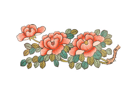 Flowers. Hand-drawn isolate on white background with clipping pathの写真素材
