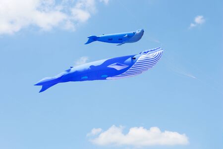 Colorful kites flying in the sky.の写真素材