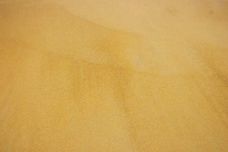 background of sand from  the sea.の写真素材