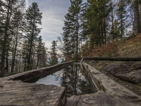scenic mountain forest wih rocks and cliffsの写真素材