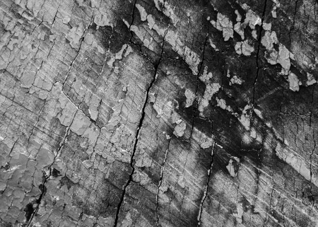 WOOD PAINTの写真素材