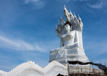 Buddha statueの写真素材