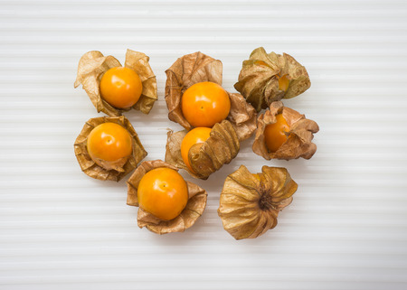 Cape gooseberryの写真素材