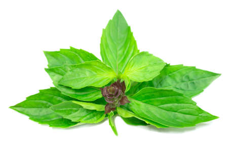 Food  Drink Arrow Food Arrow Herbs/Spiceの写真素材