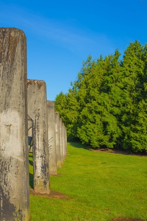 Concrete arch with green grassの写真素材
