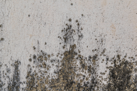 Aged wall background, textureの写真素材