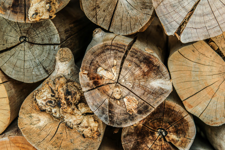 wood textureの写真素材