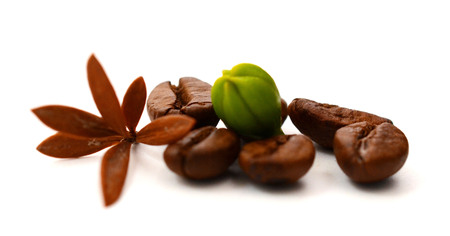Roasted coffee beans and isolated ..の写真素材