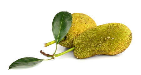 Jackfruit isolated on a white background