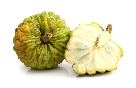 Siamese cement isolated on a white backgroundの写真素材