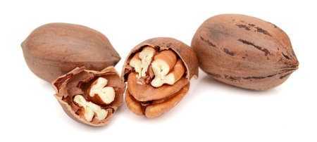 heap of pecans with leaves isolated on white background.の写真素材