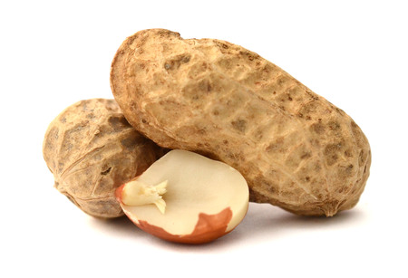 Group of peeled and unpeeled peanuts isolated on white