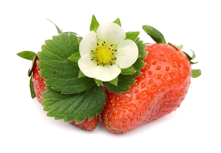 strawberriesの写真素材