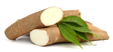 Whole Cassava root and two parts isolated at white background