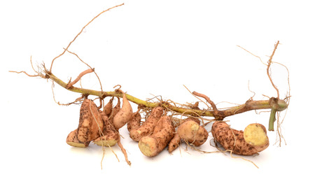 sweet potato on the white backgroundの写真素材