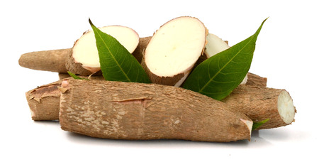 Close up view of the cassava root isolated on a white background.の写真素材