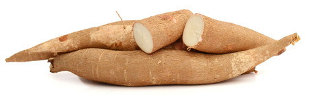 whole manioc (cassava) isolated on white backgroundの写真素材