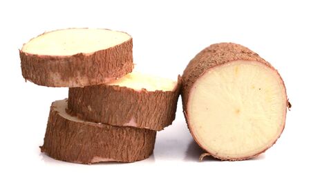 Cassava isolated on a white backgroundの写真素材