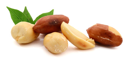 Peanuts isolated on white background.