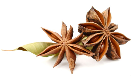 - Aniseの写真素材