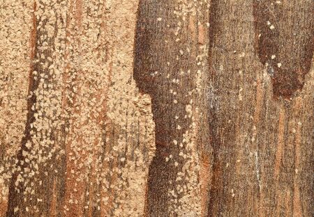 Wood Texture, Wooden Plank Grain Background, Striped Timber Desk Close Up, Old Table or Floor, Brown Boardsの写真素材