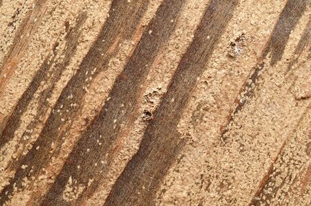 Wood Texture, Wooden Plank Grain Background, Striped Timber Desk Close Up, Old Table or Floor, Brown...
