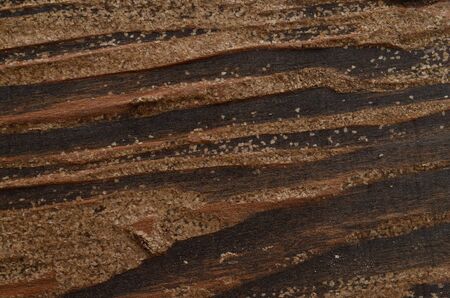 Wood Texture, Wooden Plank Grain Background, Striped Timber Desk Close Up, Old Table or Floor, Brown...