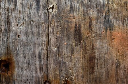 Texture of old give scratched wooden planks