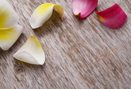 Bali flowerの写真素材