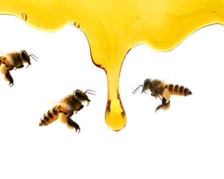 Set of wooden dippers with dripping honey isolated on white background. Package design element